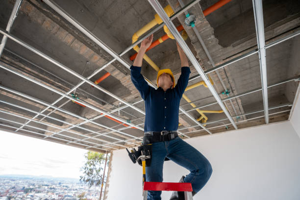 Best Plumbing Inspection Services  in Woodville, AL