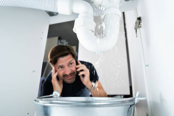 Best Toilet Repair Services  in Woodville, AL