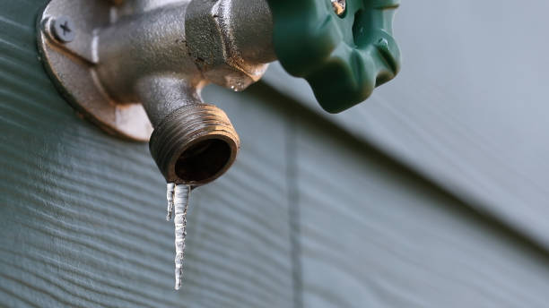 Best Clogged Drain Plumber  in Woodville, AL